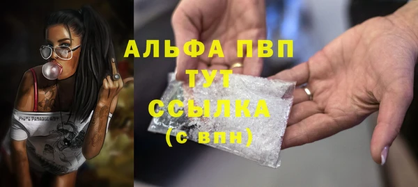 сатива Алзамай