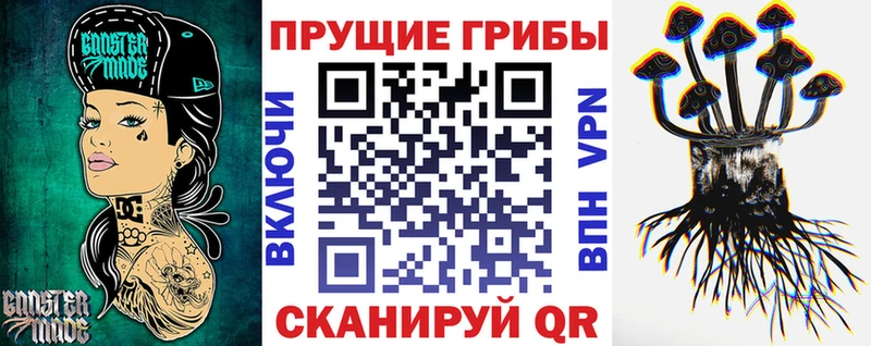 Псилоцибиновые грибы Psilocybine cubensis где купить наркотик мориарти состав Тихвин